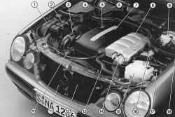Моторный отсек 4-цилиндрового дизельного двигателя серии CDI